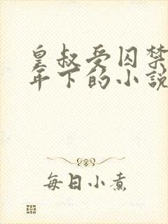 皇叔受囚禁生子年下的小说叫什么