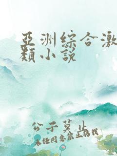 亚洲综合激情另类小说