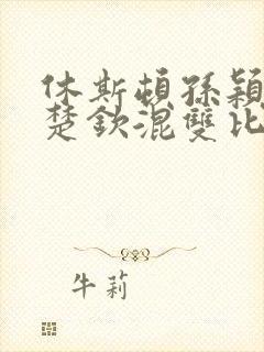 休斯顿孙颖莎王楚钦混双比赛视频