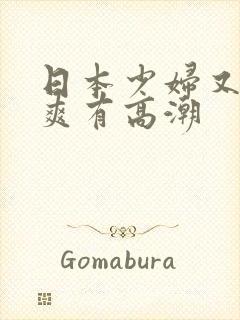 日本少妇又色又爽有高潮