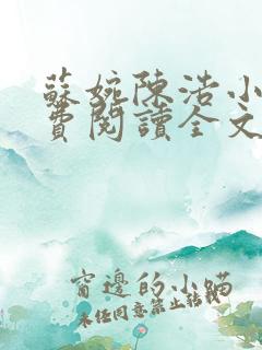 苏婉陈浩小说免费阅读全文最新章节