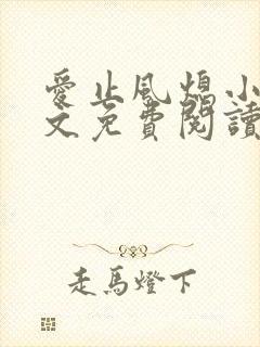 爱止风熄小说全文免费阅读