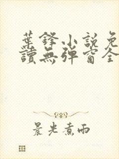 叶锋小说免费阅读无弹窗全文