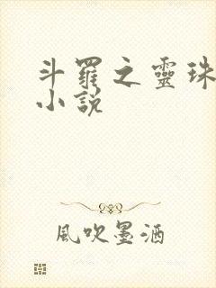 斗罗之灵珠神剑小说