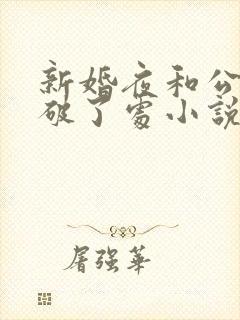 新婚夜和公给我破了处小说