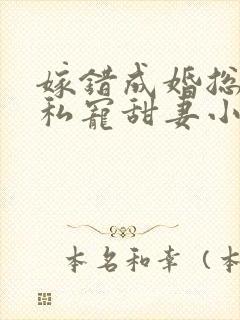 嫁错成婚总裁的私宠甜妻小说