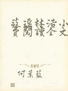 苏瑶林浩小说免费阅读全文最新章节