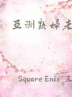 亚洲熟妇老太太