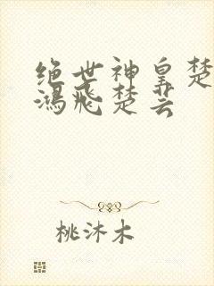 绝世神皇楚枫楚鸿飞楚芸