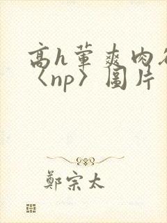 高h荤爽肉欲文〈np〉图片