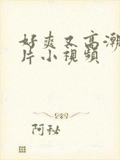 好爽又高潮了毛片小视频