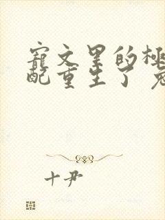 宠文里的极品男配重生了 兔月关