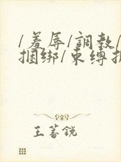 /羞辱/调教/捆绑/束缚折磨