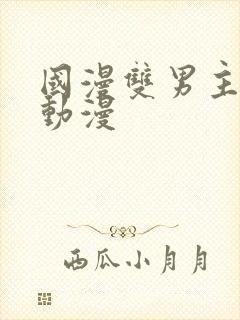 国漫双男主推荐动漫