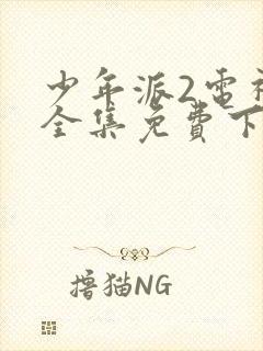 少年派2电视剧全集免费下载