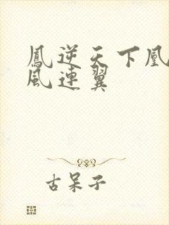 凤逆天下凰北月风连翼