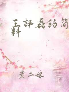 王译磊的简介资料