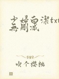 少妇白洁txt无删减