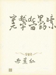 穿越dc黑暗多元宇宙的小说