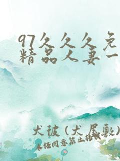 97久久久免费精品人妻一区