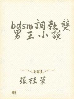 bdsm调教双男主小说