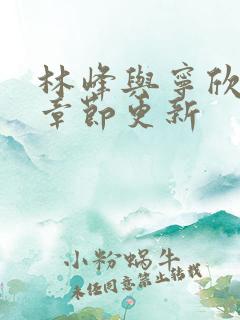 林峰与宁欣最新章节更新