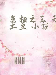 万相之王 天蚕土豆 小说