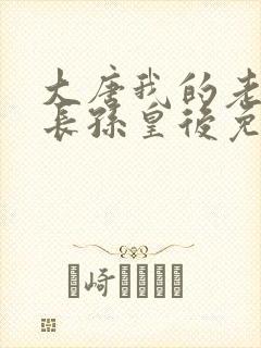 大唐我的老婆是长孙皇后免费阅读