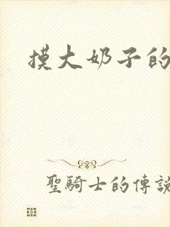 摸大奶子的小说