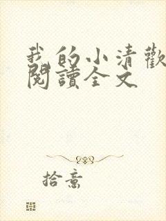 我的小清欢阅读阅读全文