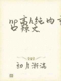 np高h纯肉重口辣文