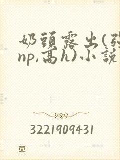 奶头露出(强jnp,高h)小说