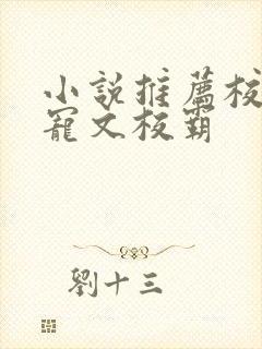 小说推荐校园甜宠文校霸