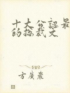 十大公认最好看的总裁文