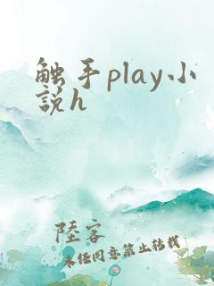 触手play小说h