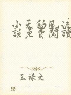 小天的风流记小说免费阅读