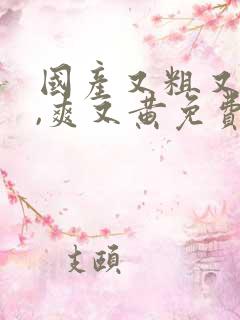 国产又粗又猛又,爽又黄免费观看