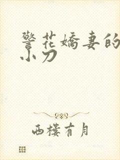 警花娇妻的蜕变小刀