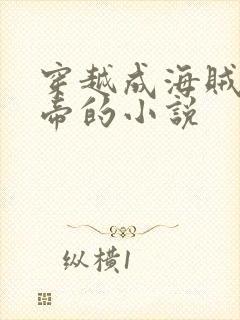穿越成海贼王女帝的小说