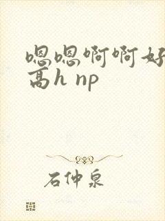 嗯嗯啊啊好爽 高h np