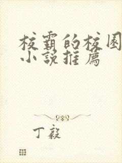 校霸的校园甜宠小说推荐