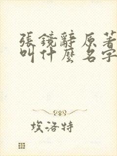 张镜辞原著小说叫什么名字