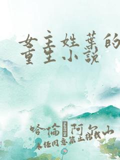 女主姓叶的末世重生小说