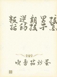 叛逆期男孩不听话的孩子怎样教