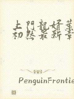 上门龙婿叶辰萧初然最新章节列表