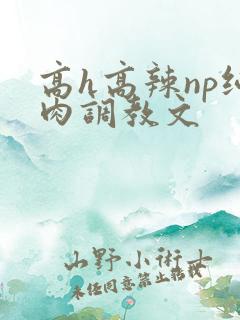高h高辣np纯肉调教文
