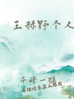 王赫野个人简介