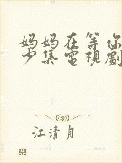 妈妈在等你有多少集电视剧