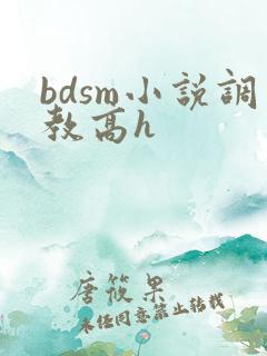 bdsm小说调教高h