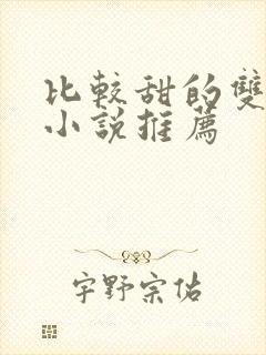 比较甜的双男主小说推荐